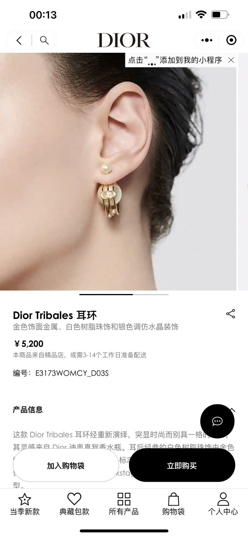 Christian Dior Earrings